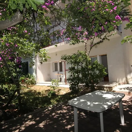 Casa de hóspedes And With Parking Space Podgora, Makarska - 6790
